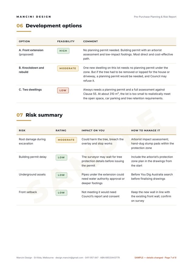 Sample report development options and risk summary table